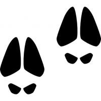 SoulCats