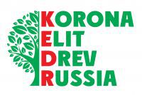 КОРОНА